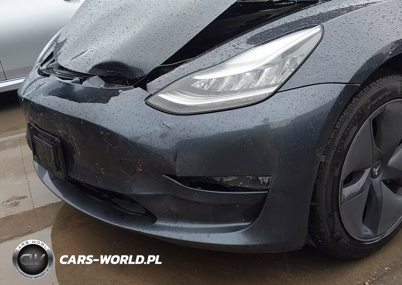 2020 Tesla Model 3 Standard Range Plus Rear-Wheel Drive-Standard Range Rear-Wheel Drive VIN:5YJ3E1EA4LF658223 - 6