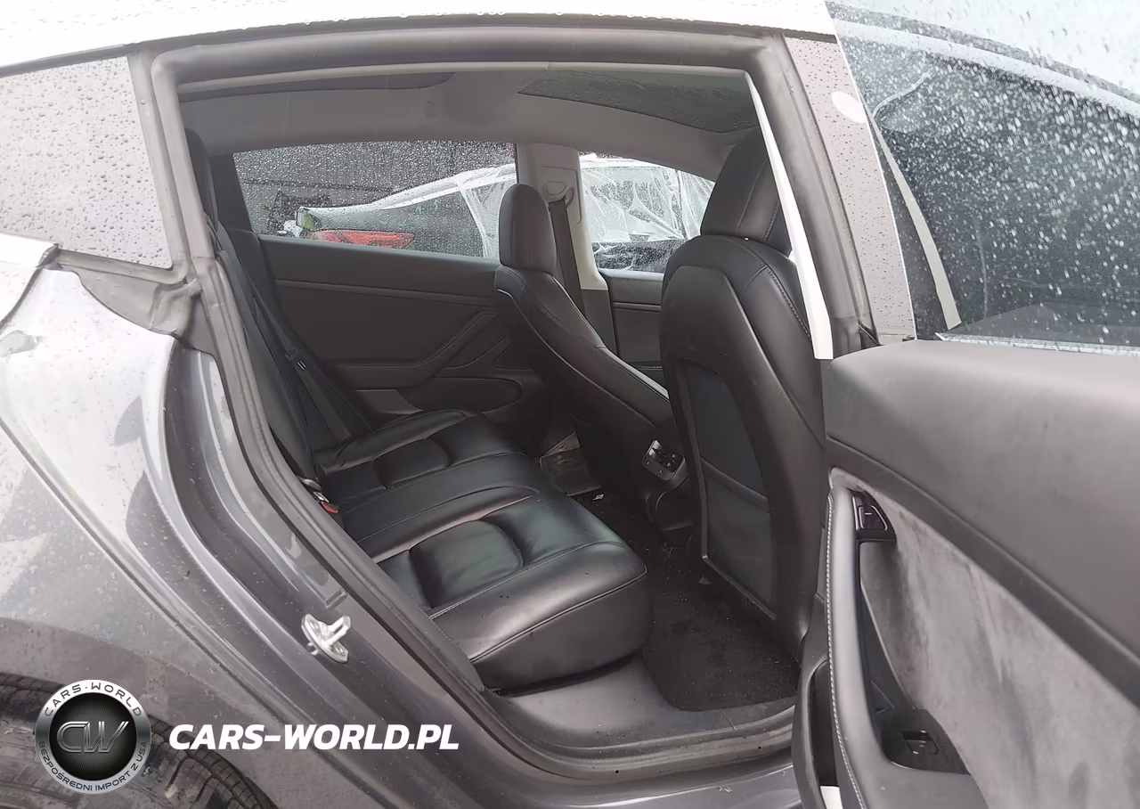 2020 Tesla Model 3 Standard Range Plus Rear-Wheel Drive-Standard Range Rear-Wheel Drive VIN:5YJ3E1EA4LF658223 - 8