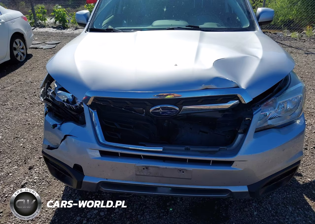 2018 Subaru Forester 2.5I Premium VIN:JF2SJAEC4JH434618 - 6