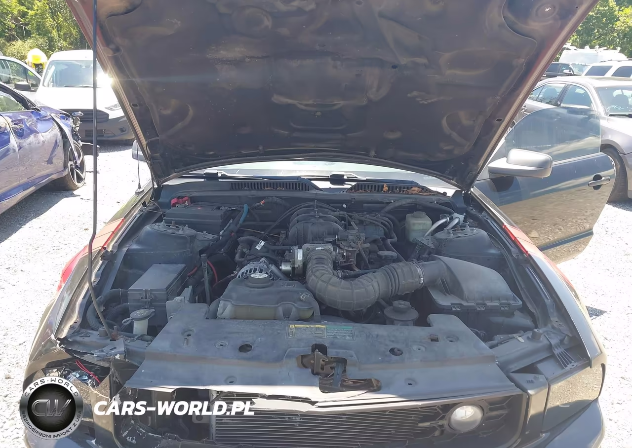 2006 Ford Mustang V6 VIN:1ZVFT80N665168035 - 10