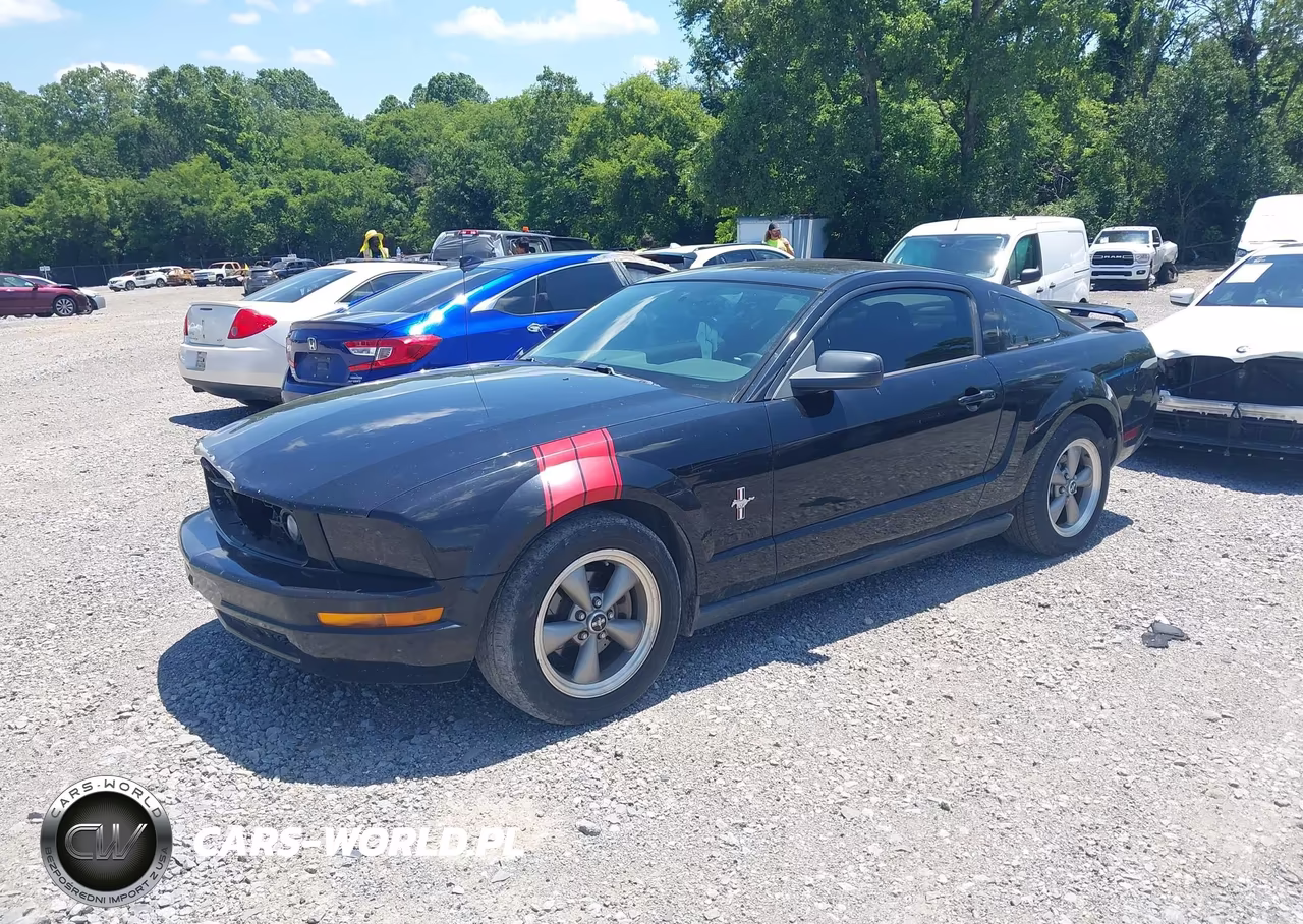 2006 Ford Mustang V6 VIN:1ZVFT80N665168035 - 2