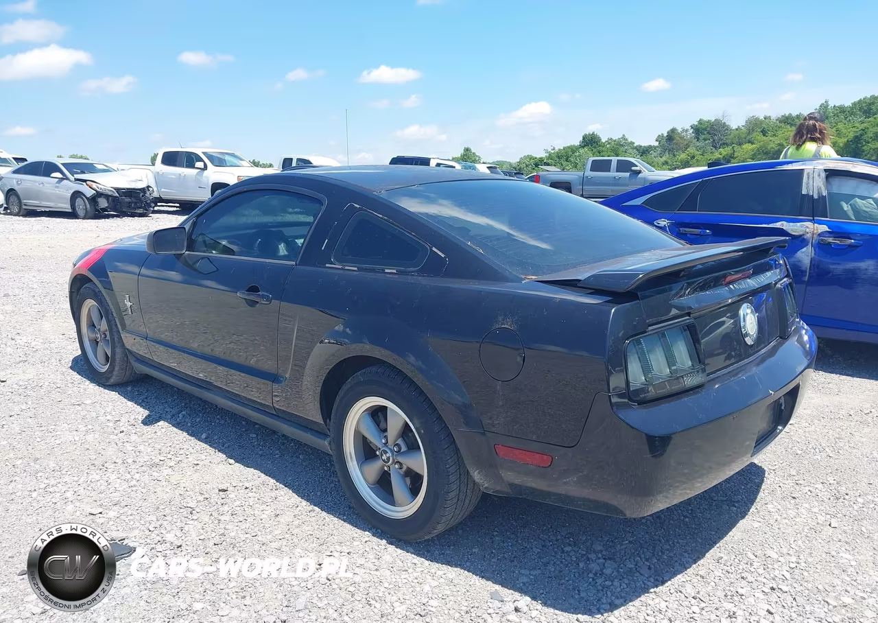 2006 Ford Mustang V6 VIN:1ZVFT80N665168035 - 3