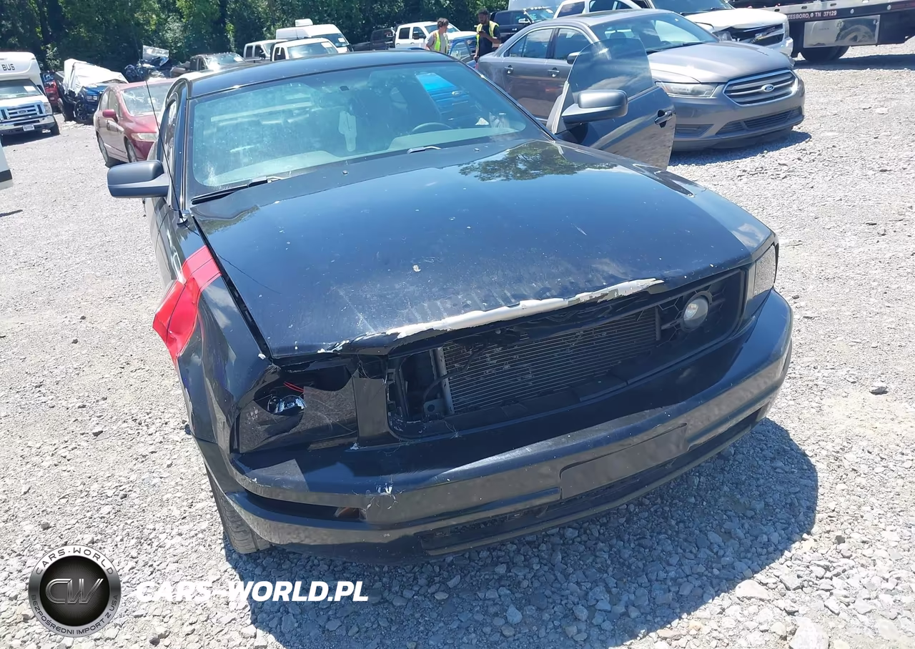 2006 Ford Mustang V6 VIN:1ZVFT80N665168035 - 6