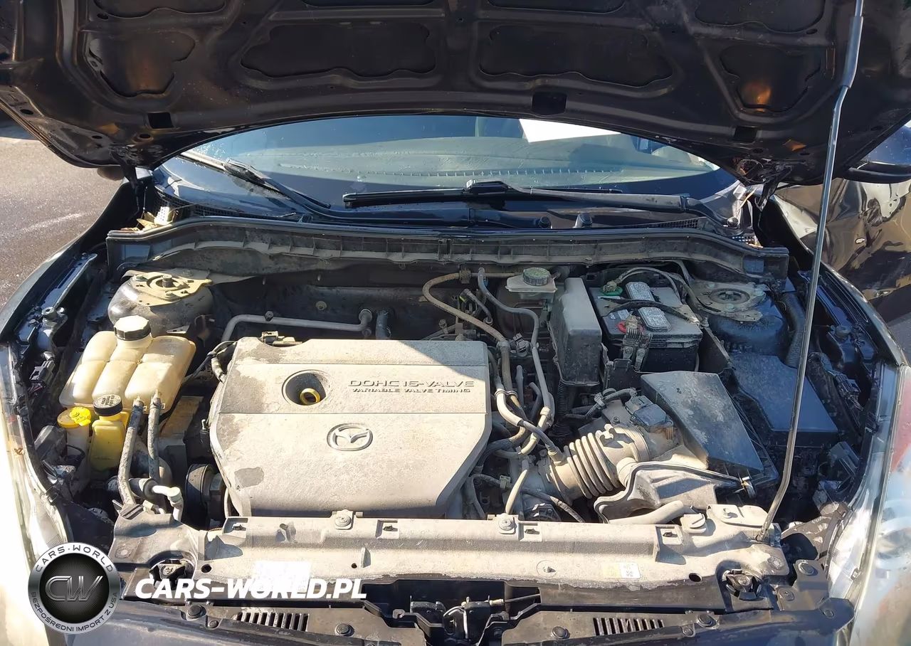 2010 Mazda Mazda3 I Sport VIN:JM1BL1SF8A1129834 - 10