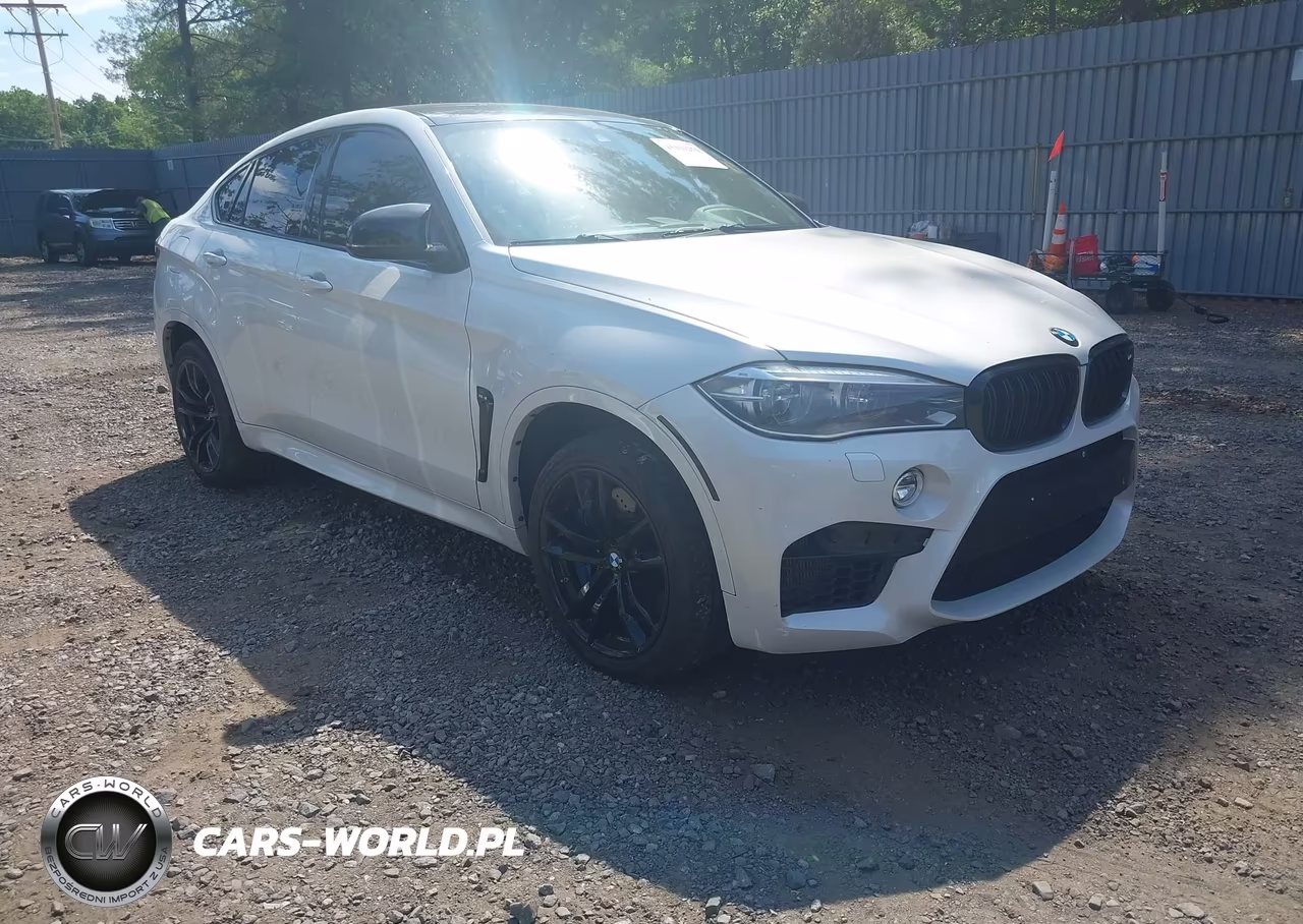 2016 BMW X6 M