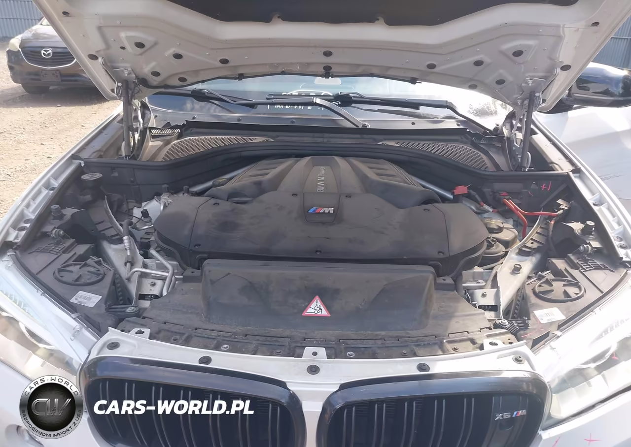 2016 BMW X6 M VIN:5YMKW8C53G0R43093 - 10