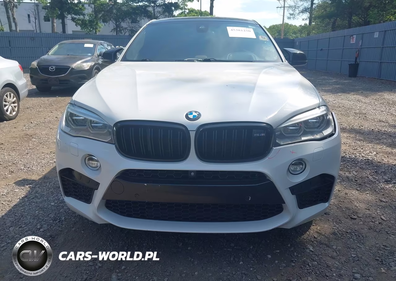 2016 BMW X6 M VIN:5YMKW8C53G0R43093 - 12