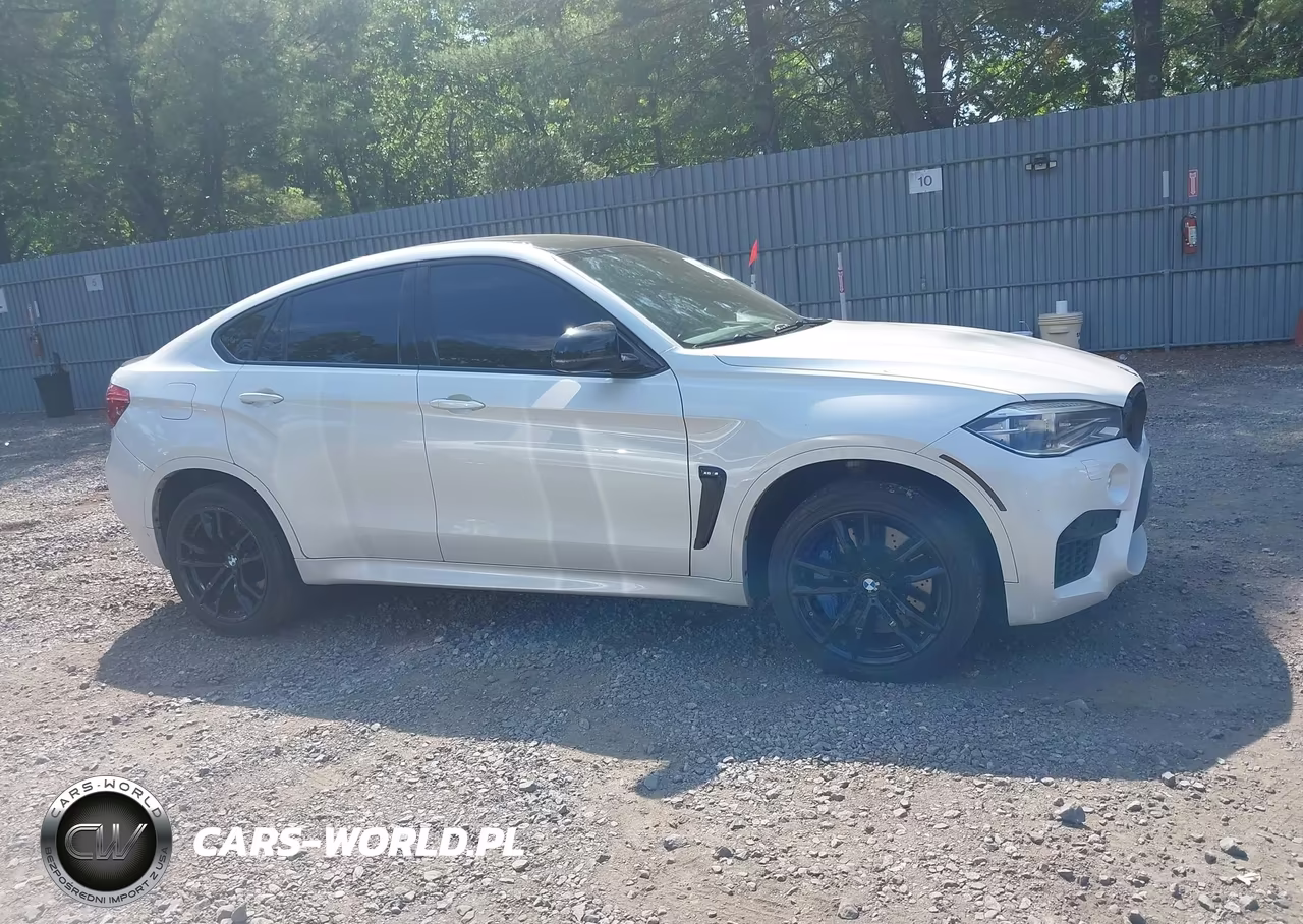 2016 BMW X6 M VIN:5YMKW8C53G0R43093 - 13