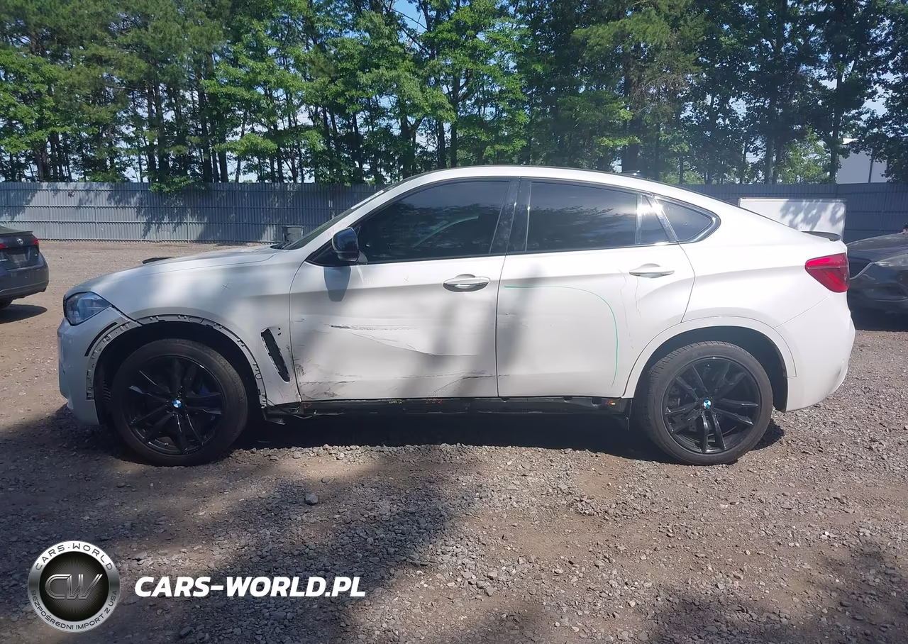 2016 BMW X6 M VIN:5YMKW8C53G0R43093 - 14