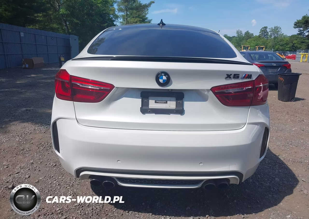 2016 BMW X6 M VIN:5YMKW8C53G0R43093 - 16