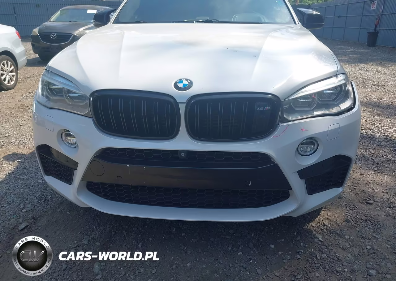 2016 BMW X6 M VIN:5YMKW8C53G0R43093 - 17
