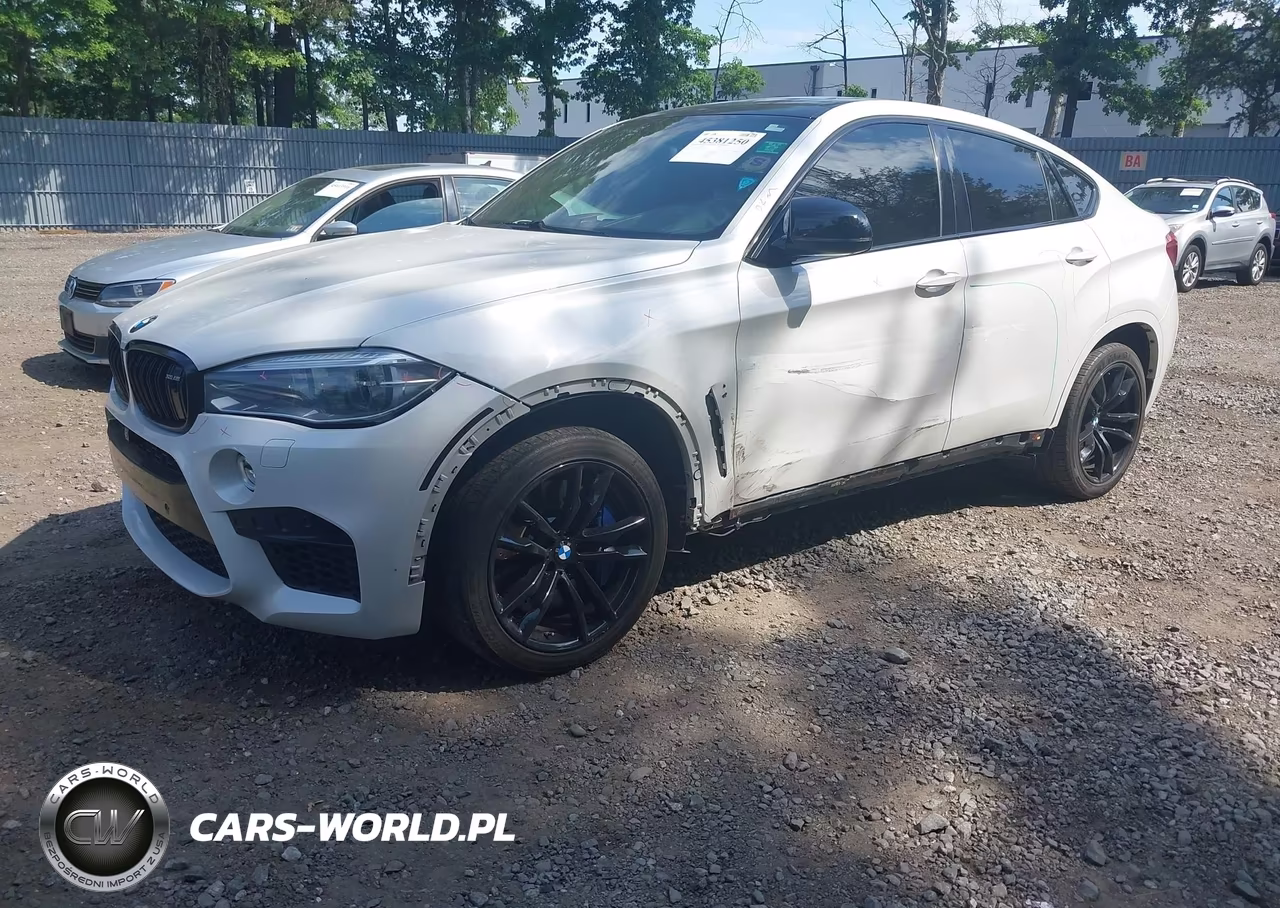 2016 BMW X6 M VIN:5YMKW8C53G0R43093 - 2