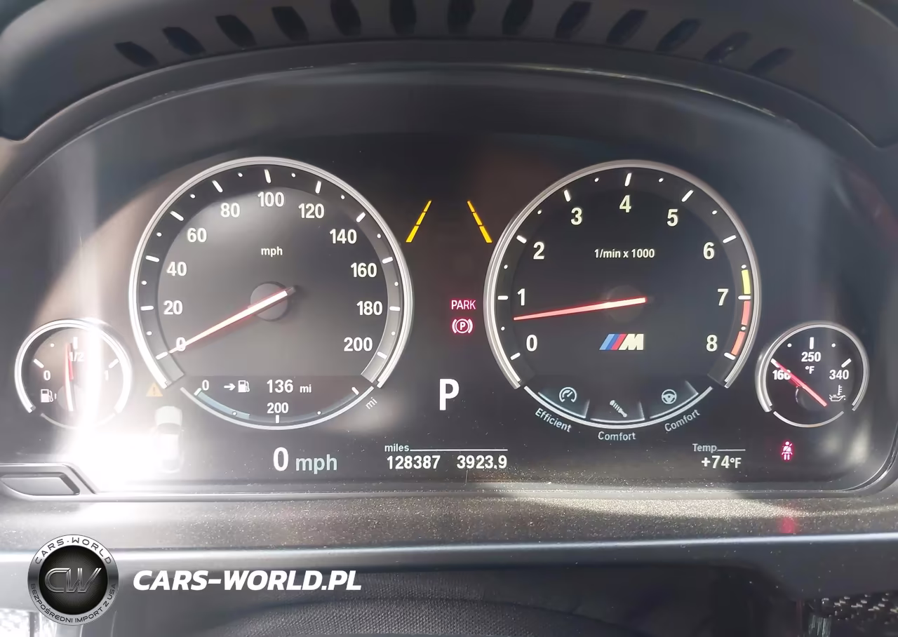 2016 BMW X6 M VIN:5YMKW8C53G0R43093 - 7