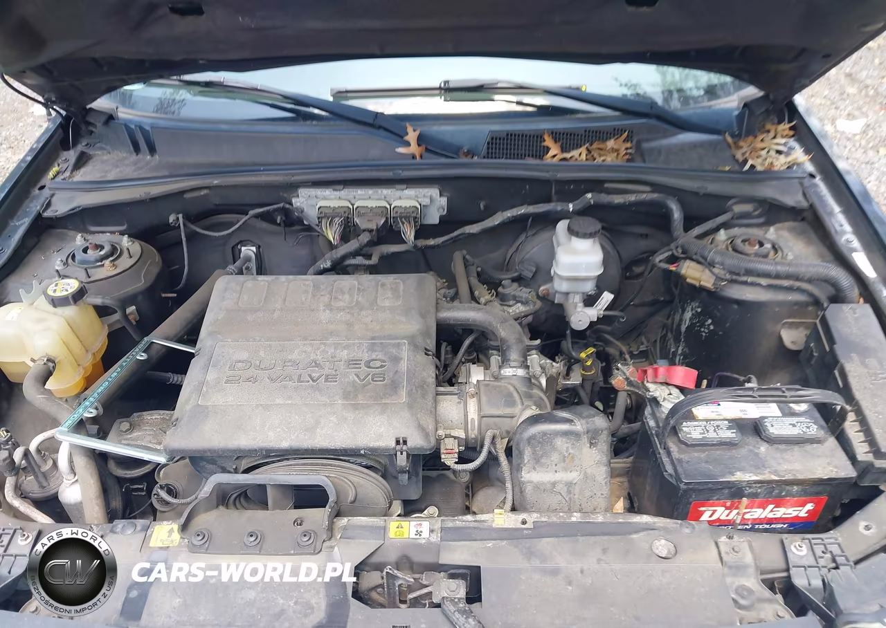 2009 Ford Escape Xlt VIN:1FMCU93GX9KA07601 - 10