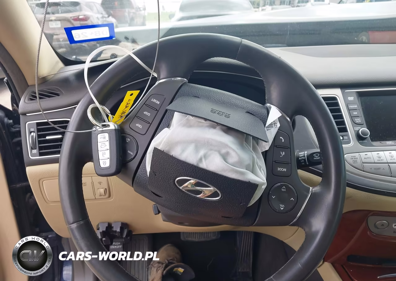 2013 Hyundai Genesis 3.8 VIN:KMHGC4DD0DU222123 - 11