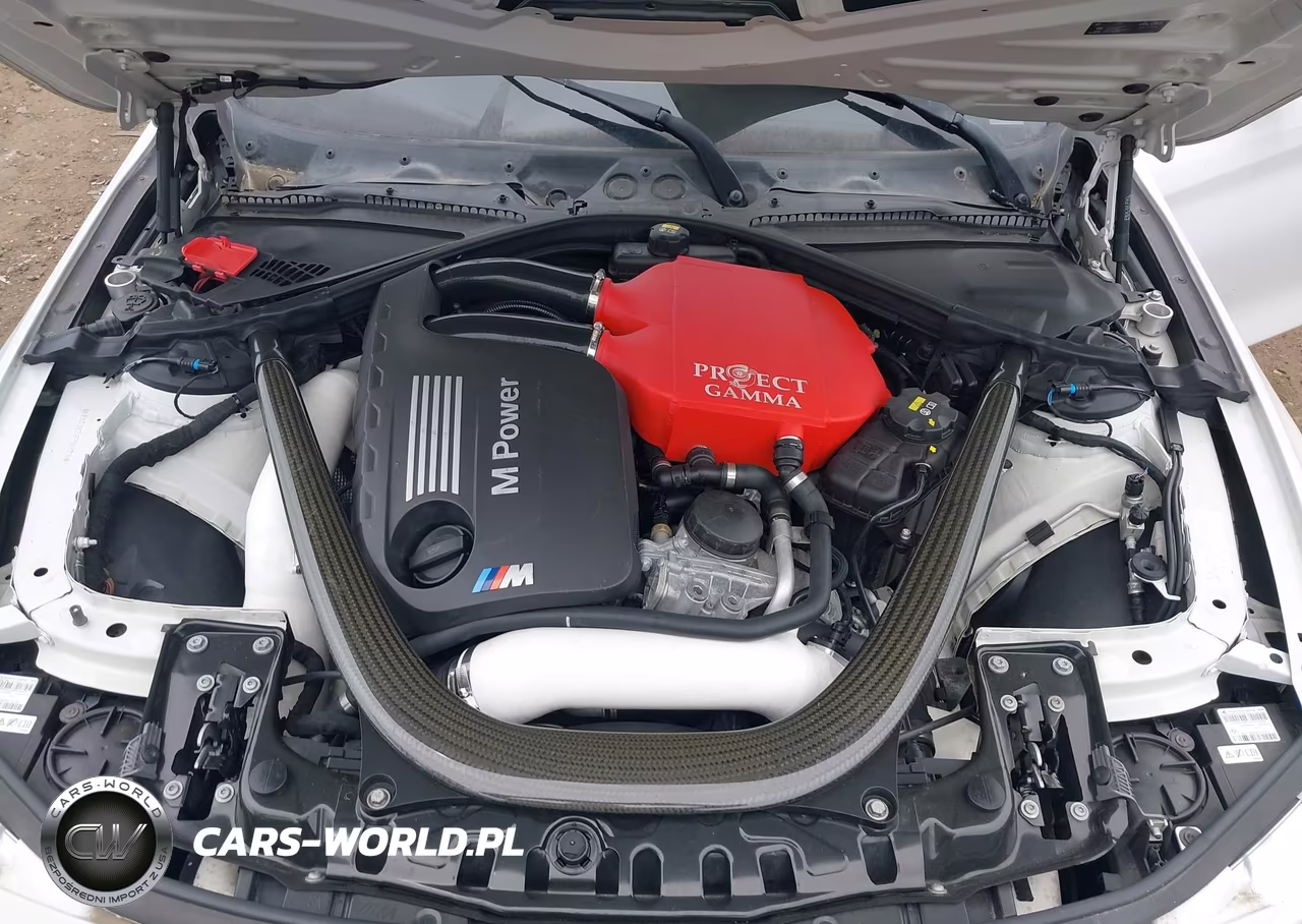 2015 BMW M4 VIN:WBS3U9C52FP968218 - 10