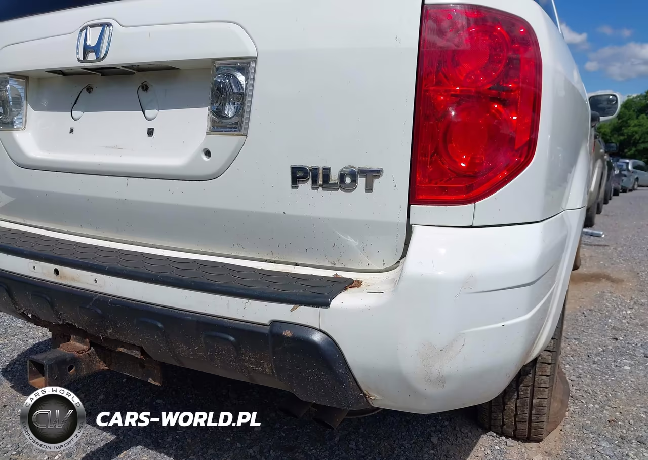 2005 Honda Pilot Ex VIN:5FNYF18465B026769 - 14