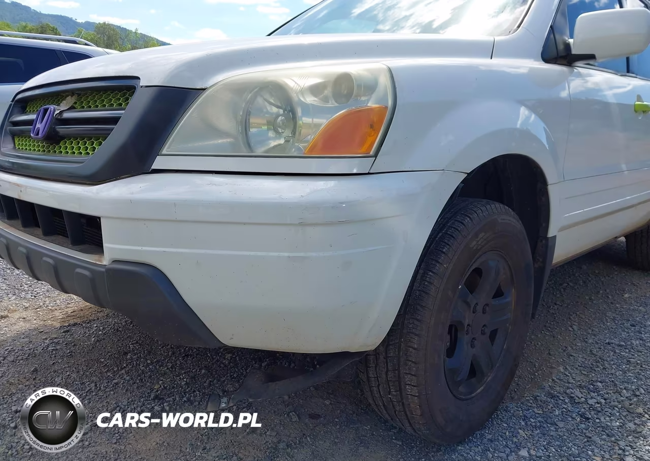 2005 Honda Pilot Ex VIN:5FNYF18465B026769 - 17