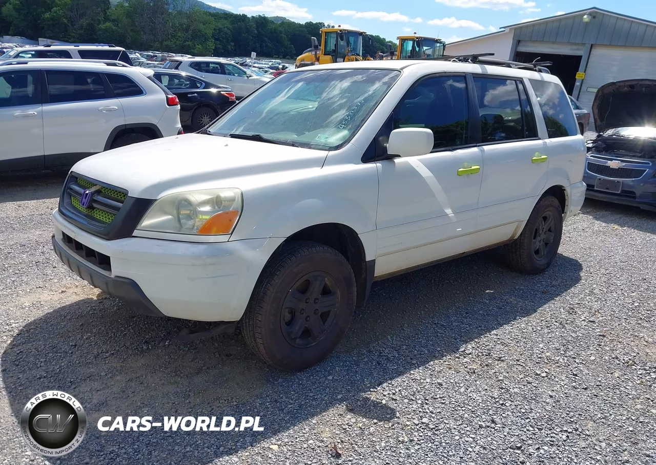 2005 Honda Pilot Ex VIN:5FNYF18465B026769 - 2