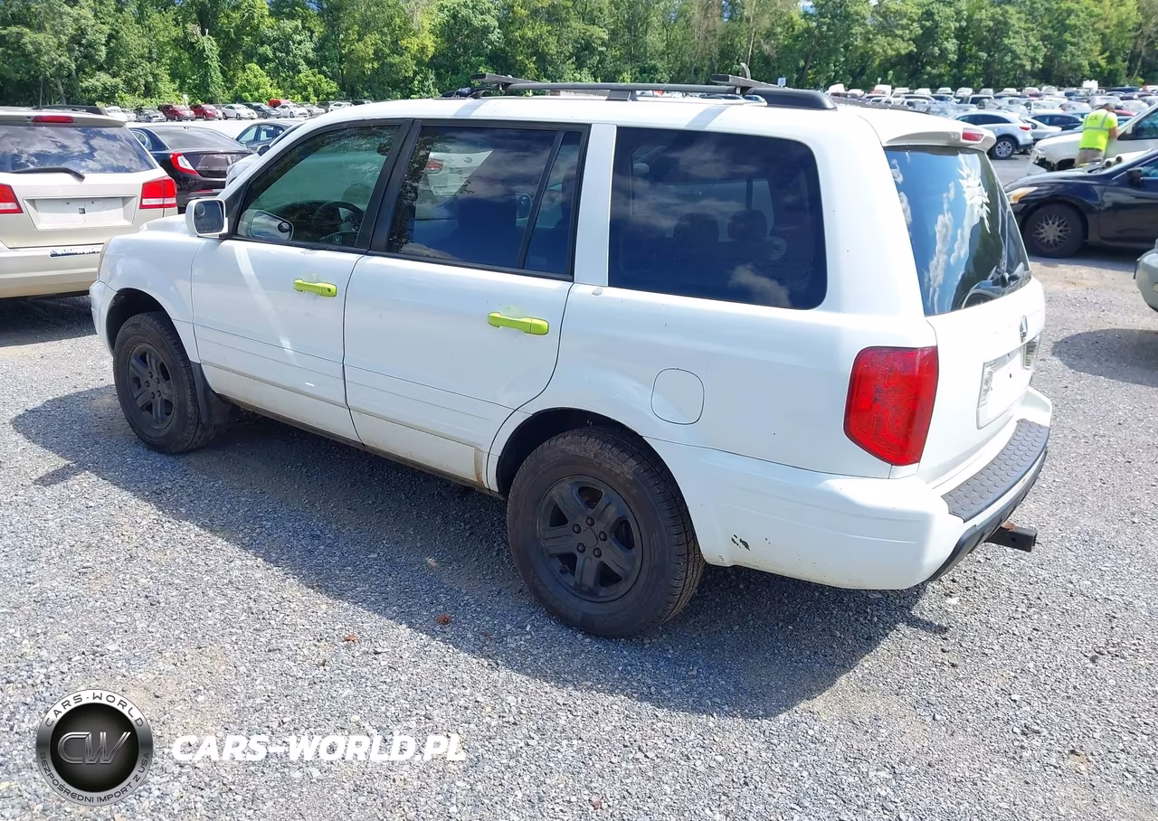 2005 Honda Pilot Ex VIN:5FNYF18465B026769 - 3
