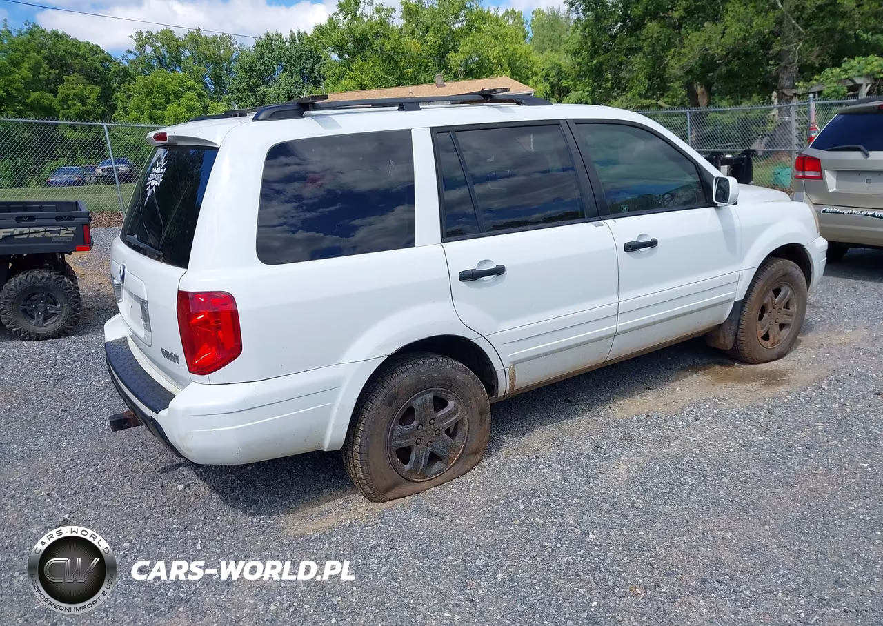 2005 Honda Pilot Ex VIN:5FNYF18465B026769 - 4