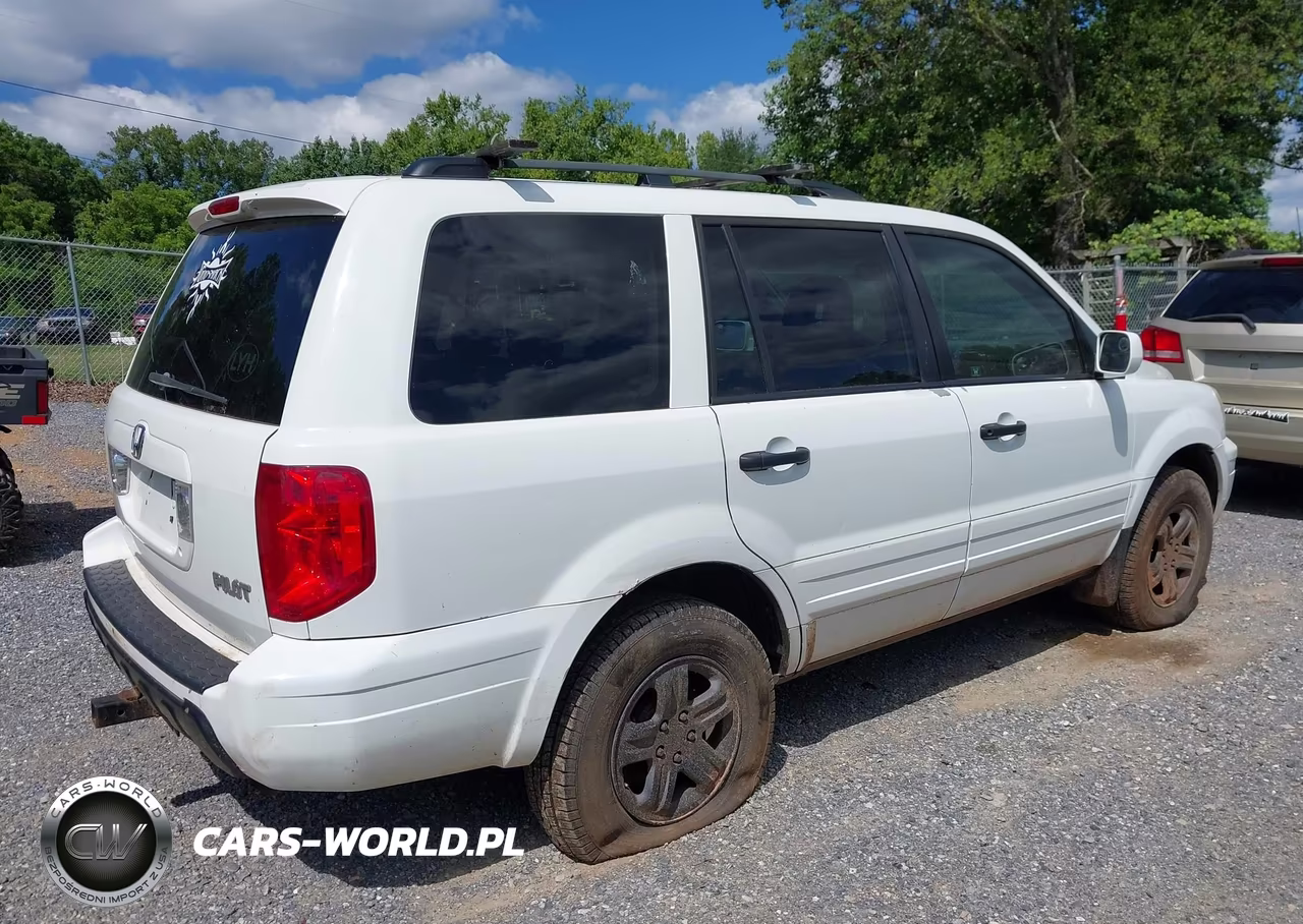 2005 Honda Pilot Ex VIN:5FNYF18465B026769 - 6