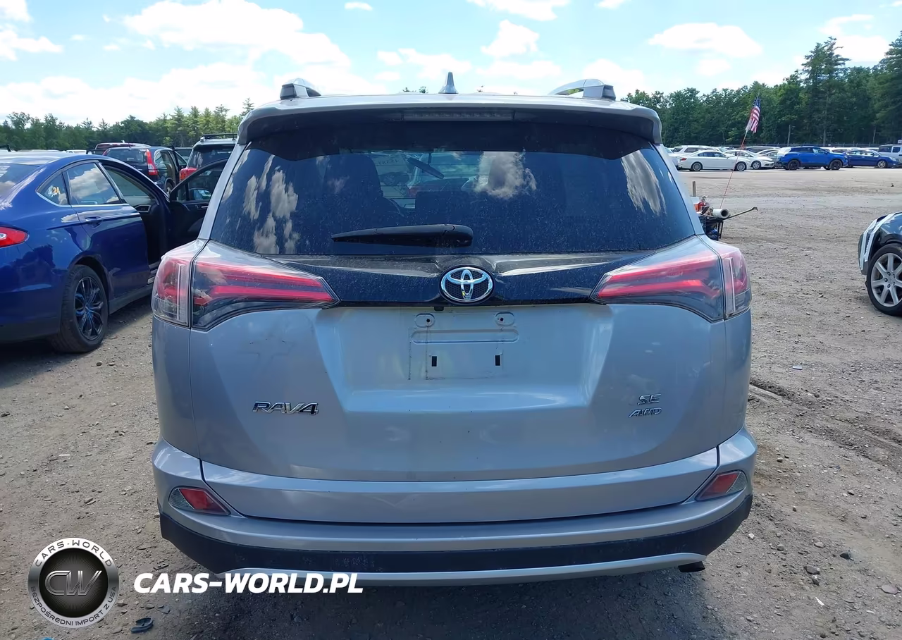 2016 Toyota Rav4 Se VIN:2T3JFREV5GW500642 - 17