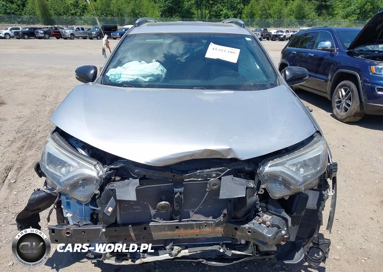 2016 Toyota Rav4 Se VIN:2T3JFREV5GW500642 - 19