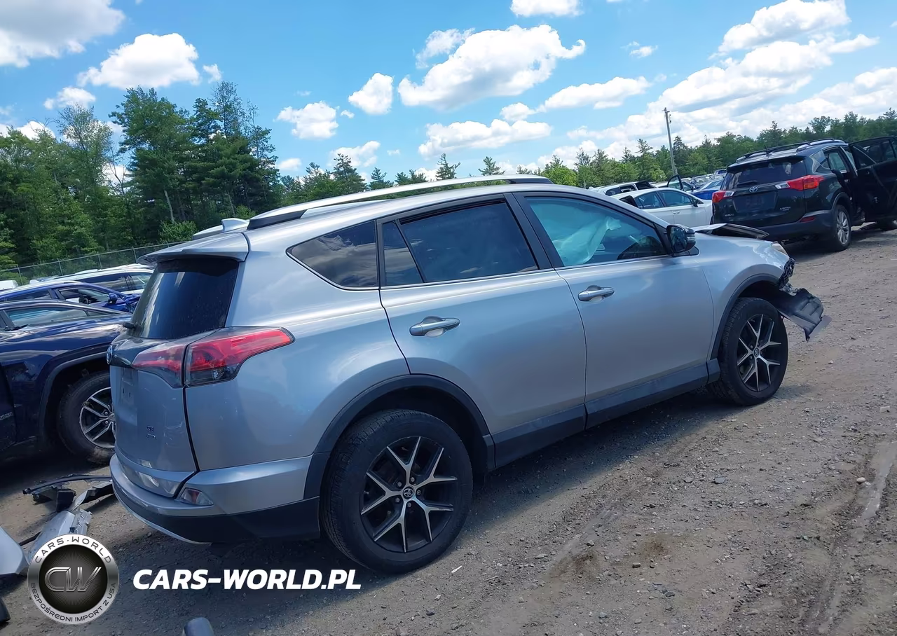 2016 Toyota Rav4 Se VIN:2T3JFREV5GW500642 - 4