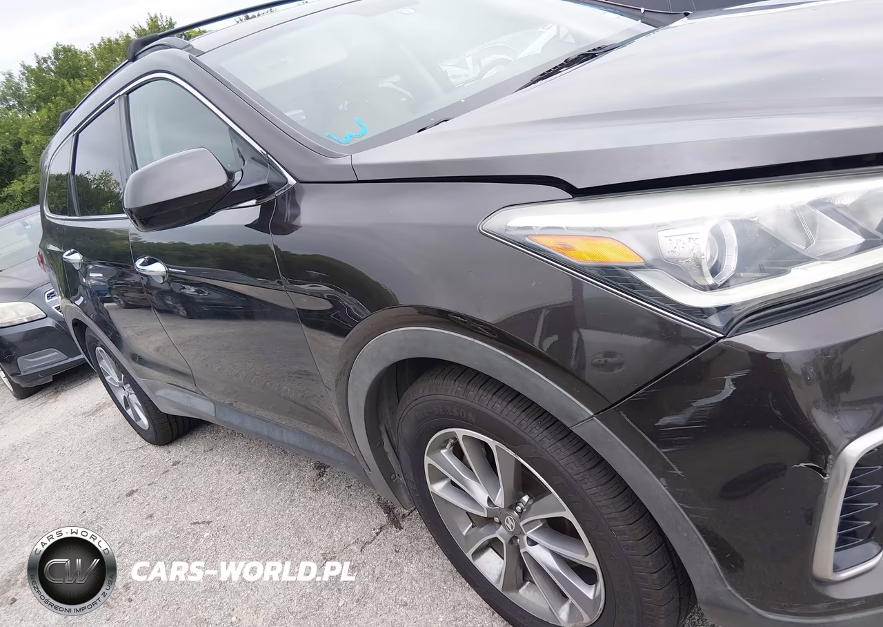 2017 Hyundai Santa Fe Se VIN:KM8SM4HF0HU167536 - 13