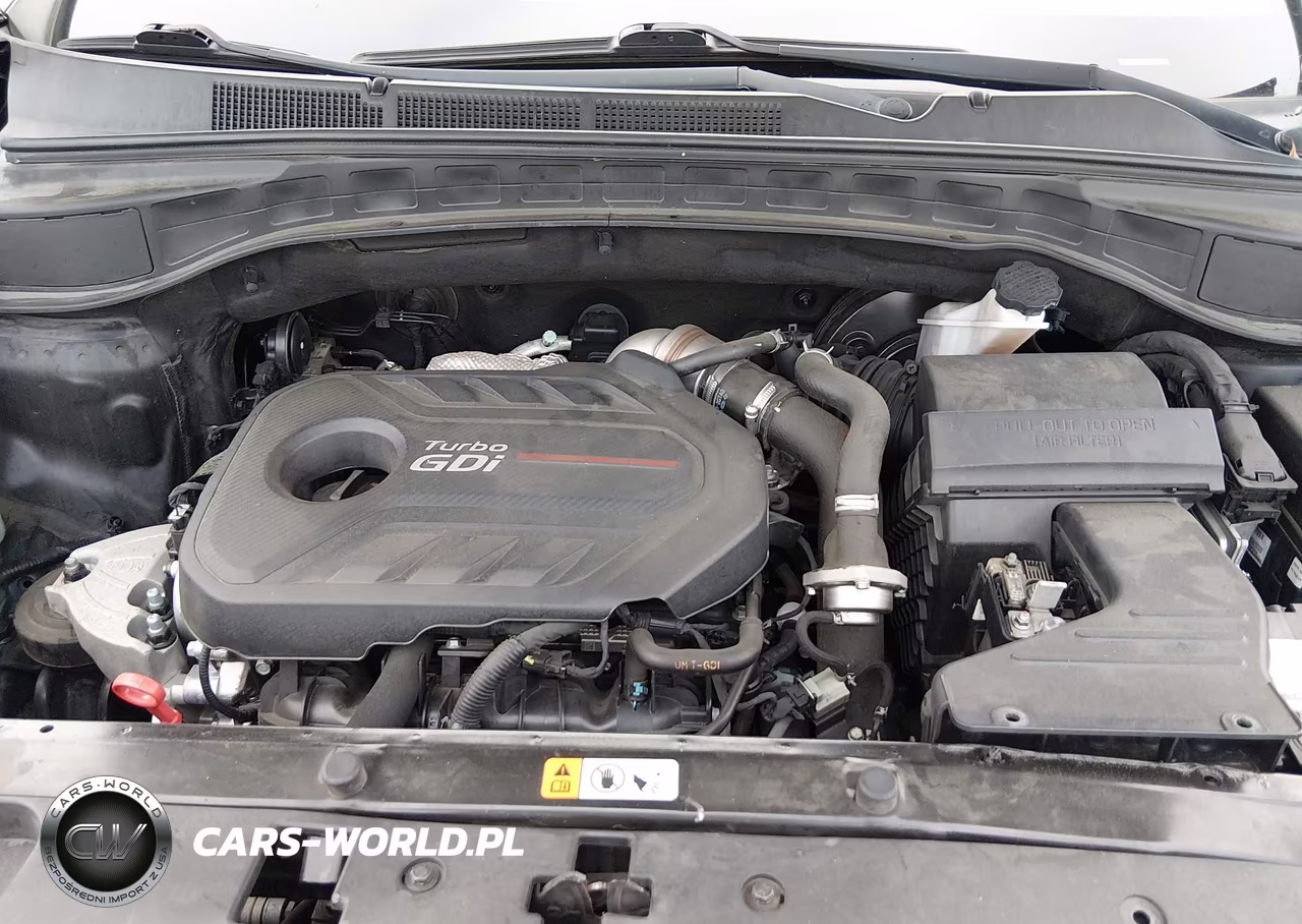 2017 Hyundai Santa Fe Sport 2.0T Ultimate VIN:5XYZW4LA3HG435165 - 10