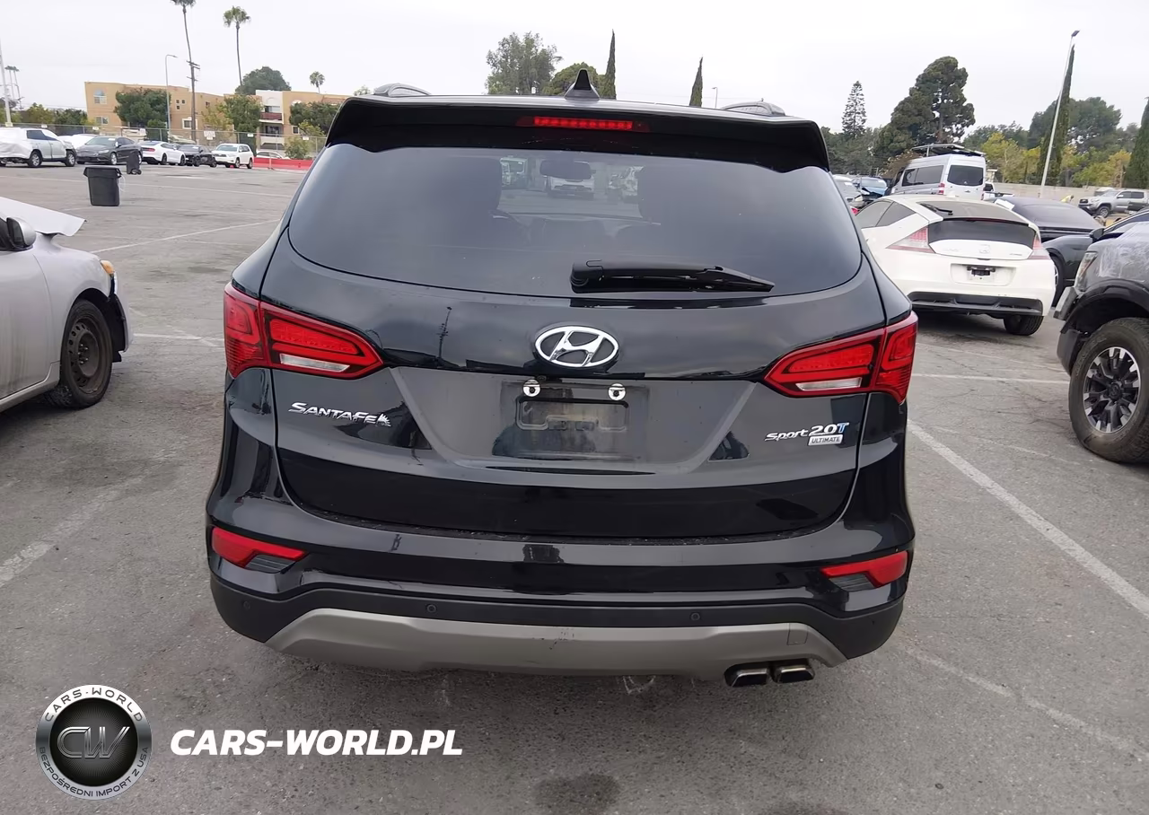 2017 Hyundai Santa Fe Sport 2.0T Ultimate VIN:5XYZW4LA3HG435165 - 16