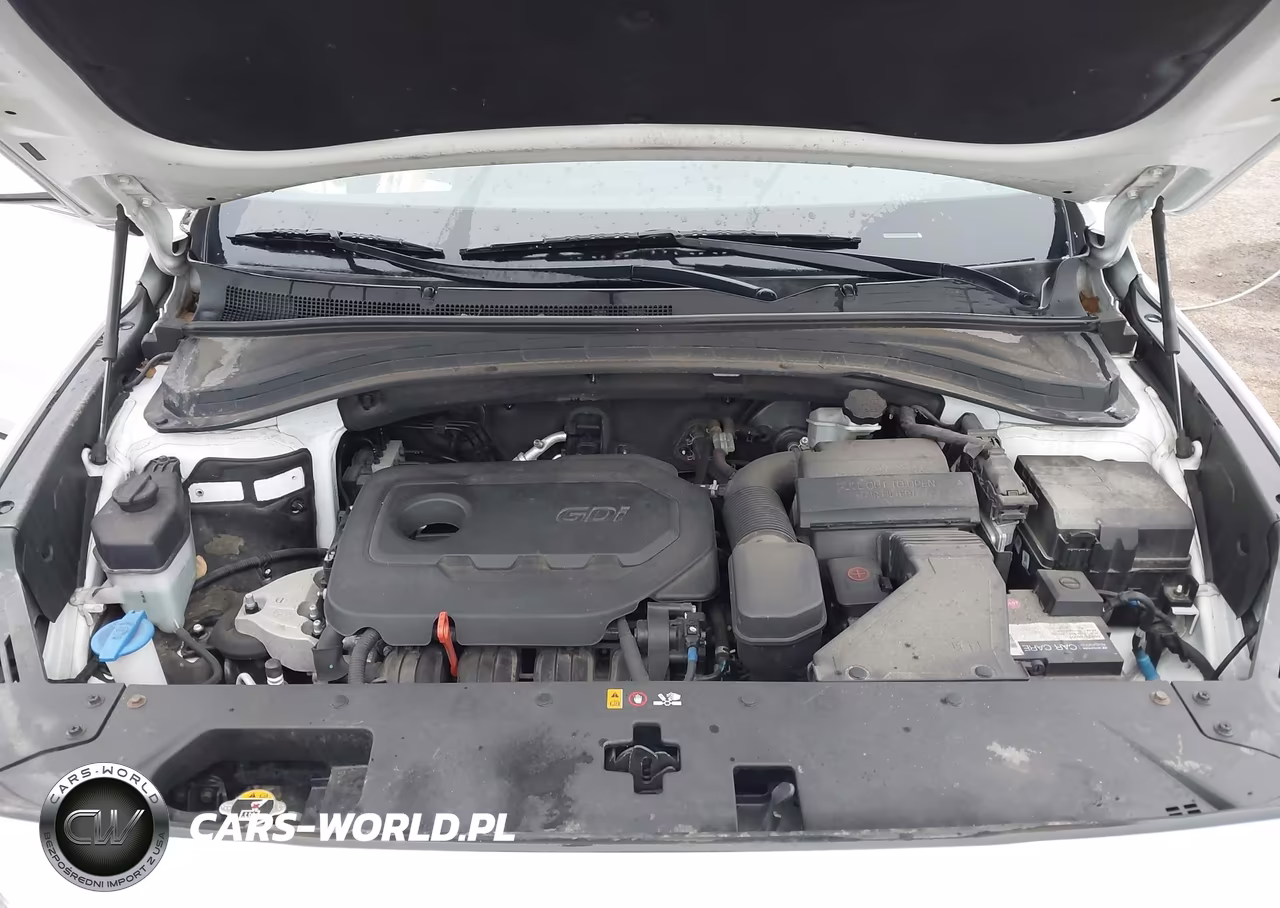 2020 Hyundai Santa Fe Sel VIN:5NMS3CAD6LH197179 - 10