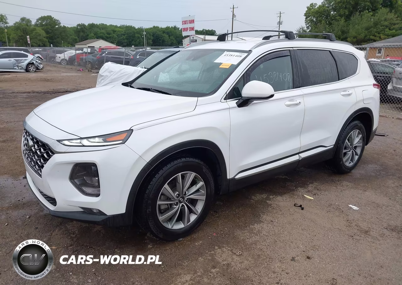 2020 Hyundai Santa Fe Sel VIN:5NMS3CAD6LH197179 - 2