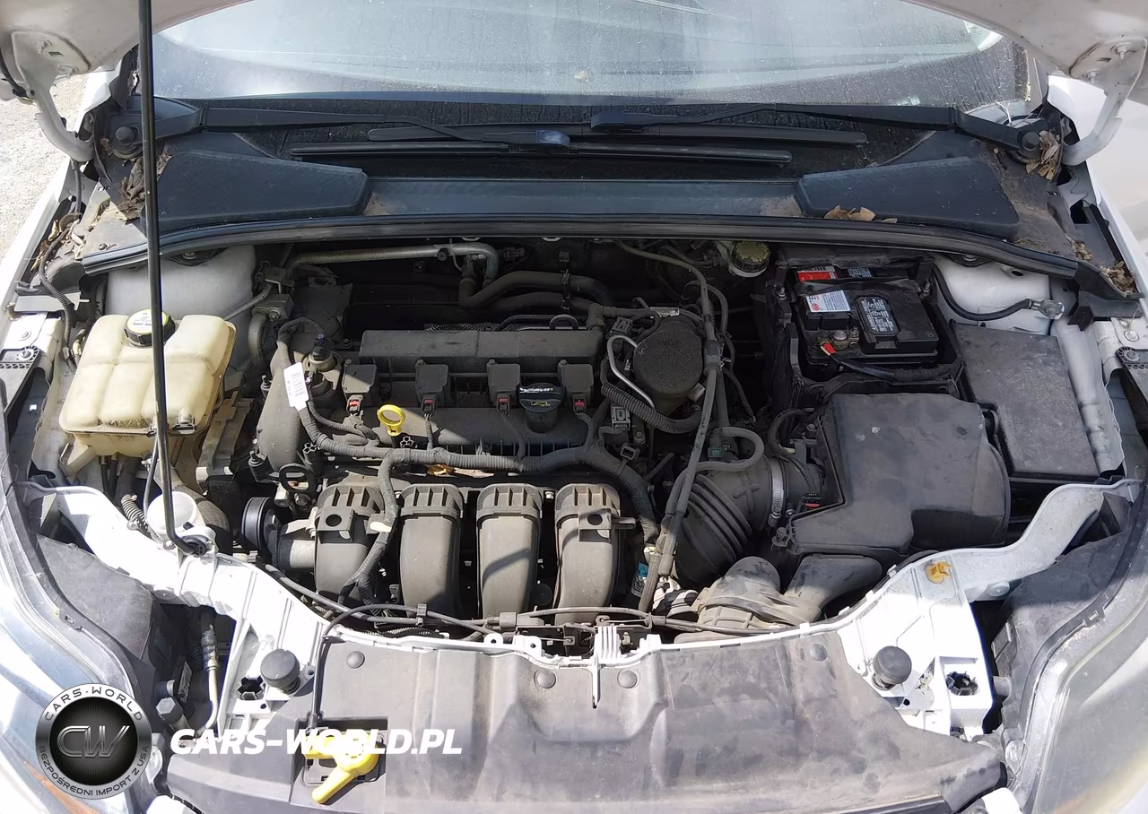 2013 Ford Focus Titanium VIN:1FADP3N28DL301392 - 10