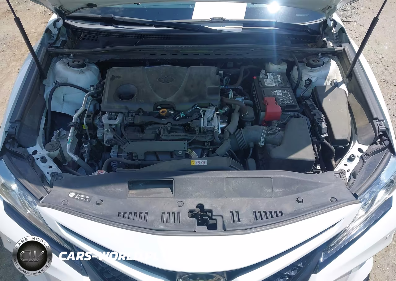 2018 Toyota Camry Xse VIN:4T1B61HK9JU086109 - 10