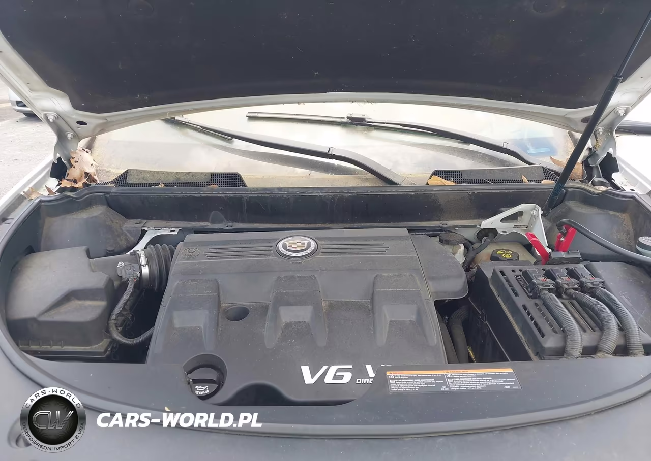 2012 Cadillac Srx Performance Collection VIN:3GYFNBE3XCS532194 - 10