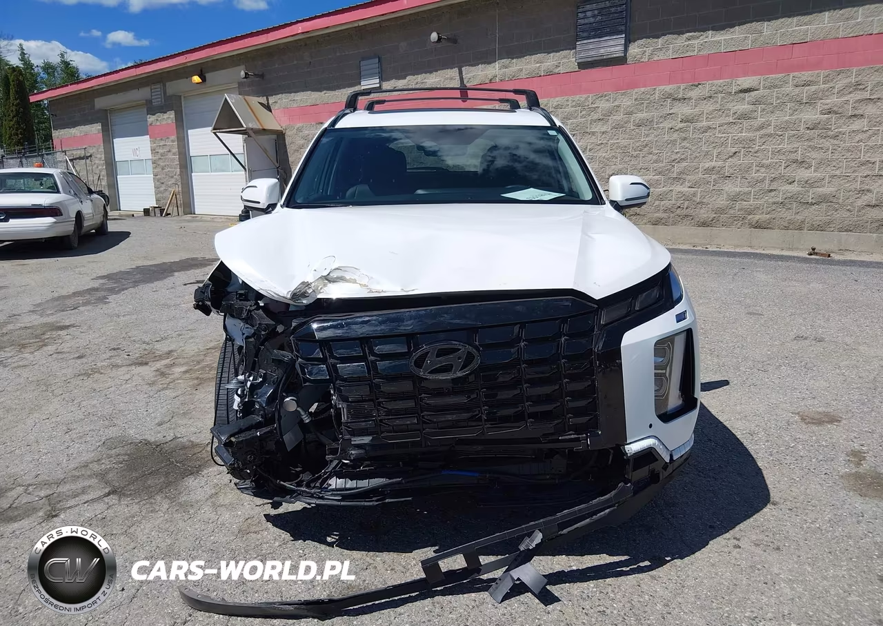 2025 Hyundai Palisade Xrt VIN:KM8R3DGE0SU860821 - 12