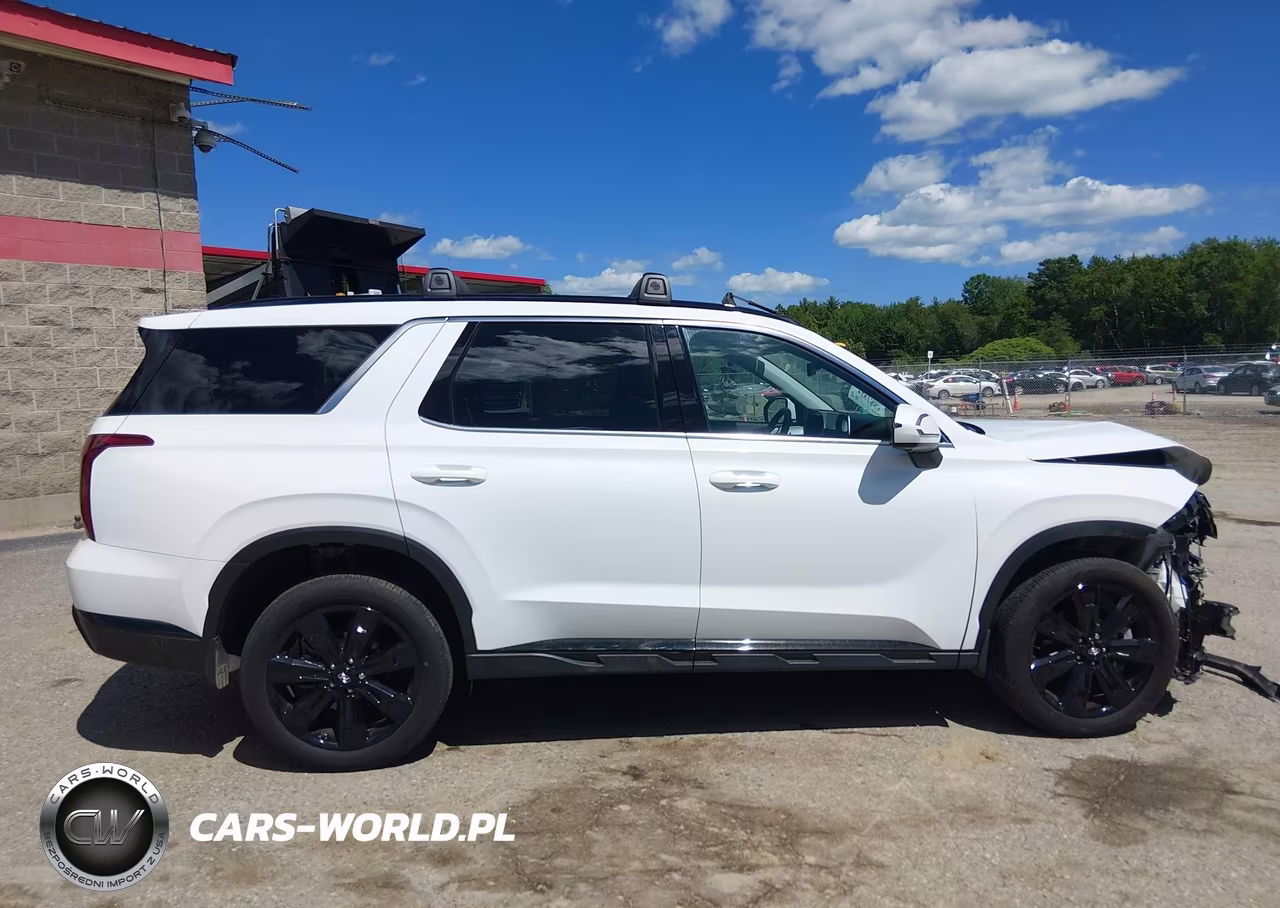 2025 Hyundai Palisade Xrt VIN:KM8R3DGE0SU860821 - 13