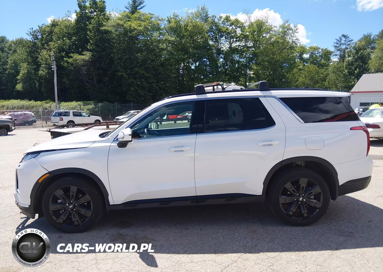 2025 Hyundai Palisade Xrt VIN:KM8R3DGE0SU860821 - 14