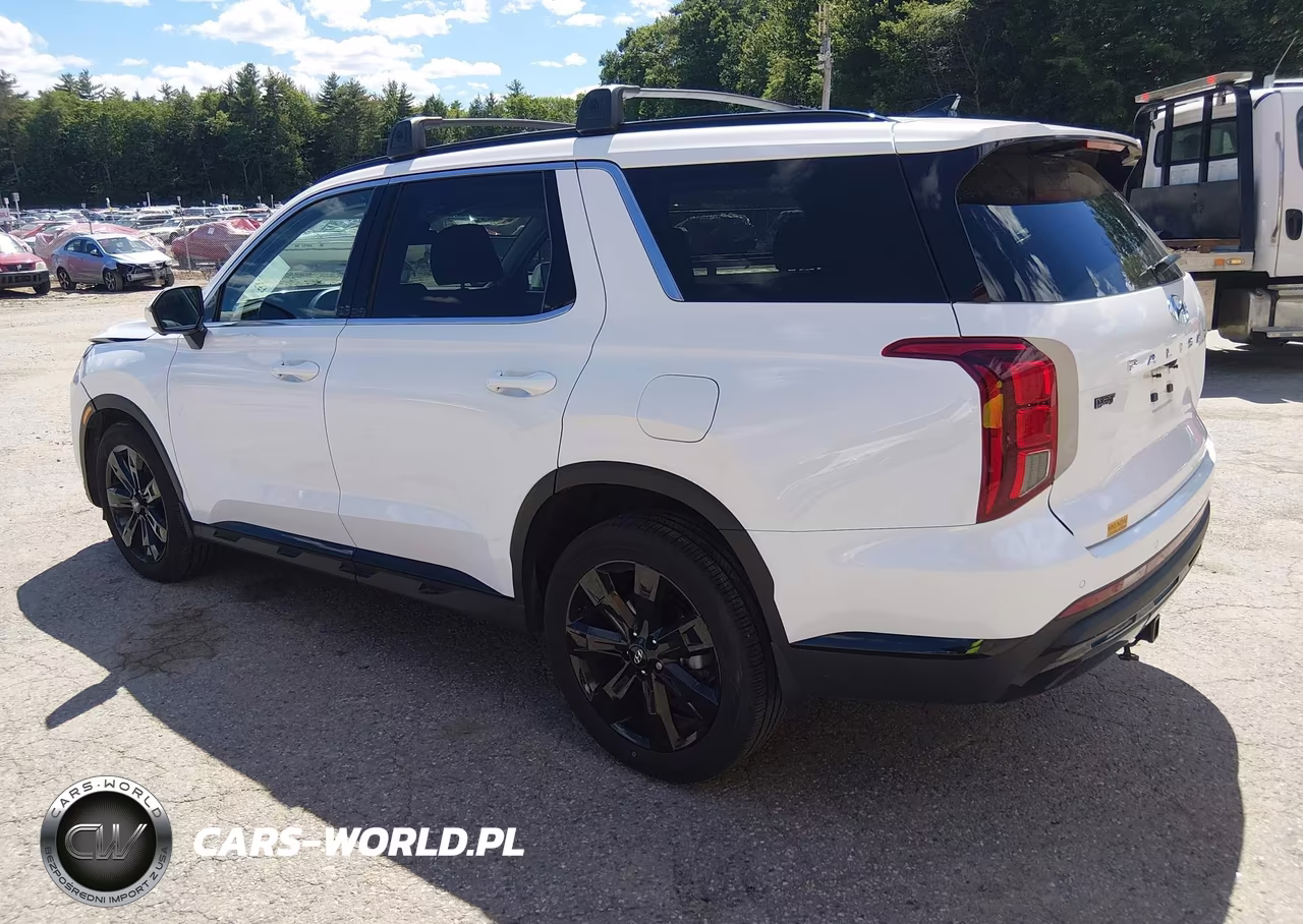 2025 Hyundai Palisade Xrt VIN:KM8R3DGE0SU860821 - 3