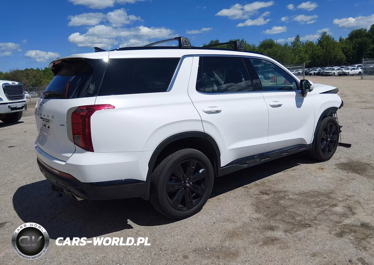 2025 Hyundai Palisade Xrt VIN:KM8R3DGE0SU860821 - 4
