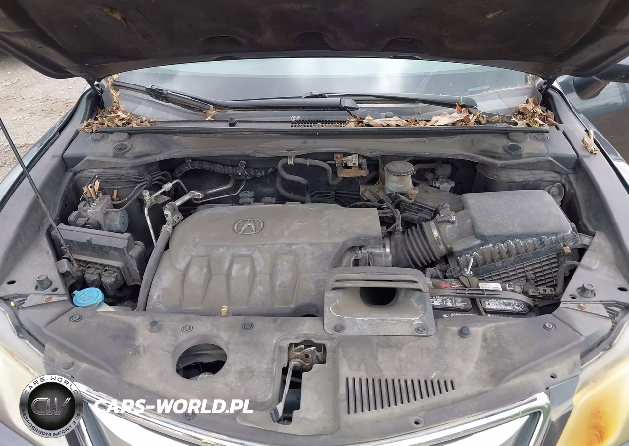 2013 Acura Rdx VIN:5J8TB3H35DL002937 - 10