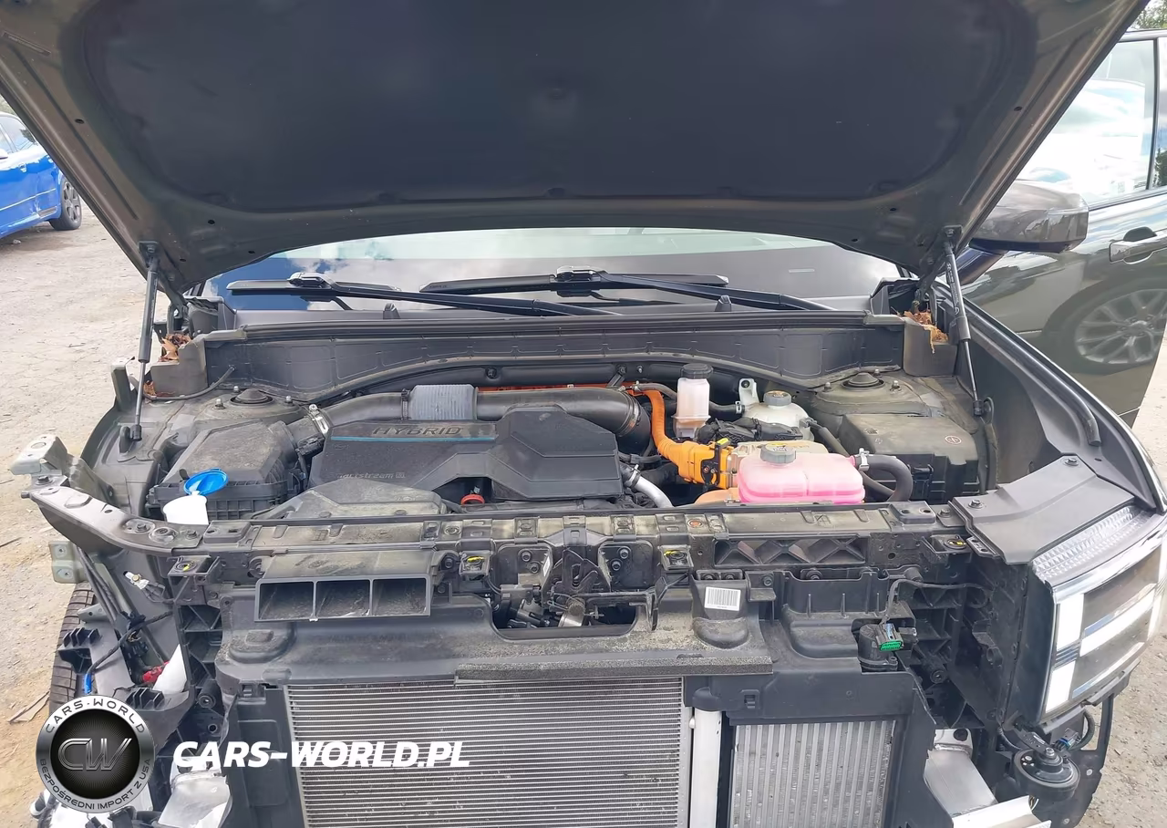 2024 Hyundai Santa Fe Hybrid Calligraphy VIN:5NMP5DG12RH003131 - 10
