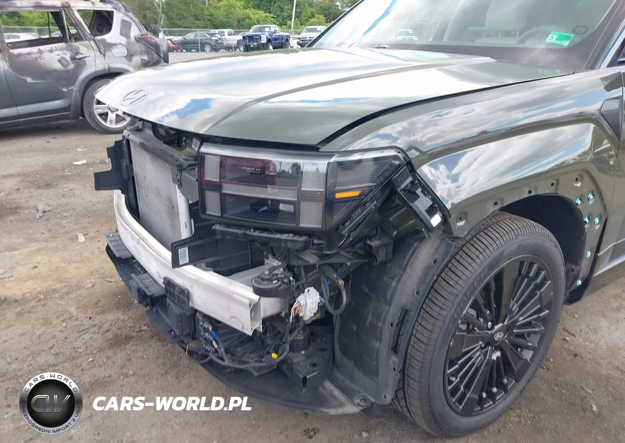 2024 Hyundai Santa Fe Hybrid Calligraphy VIN:5NMP5DG12RH003131 - 6