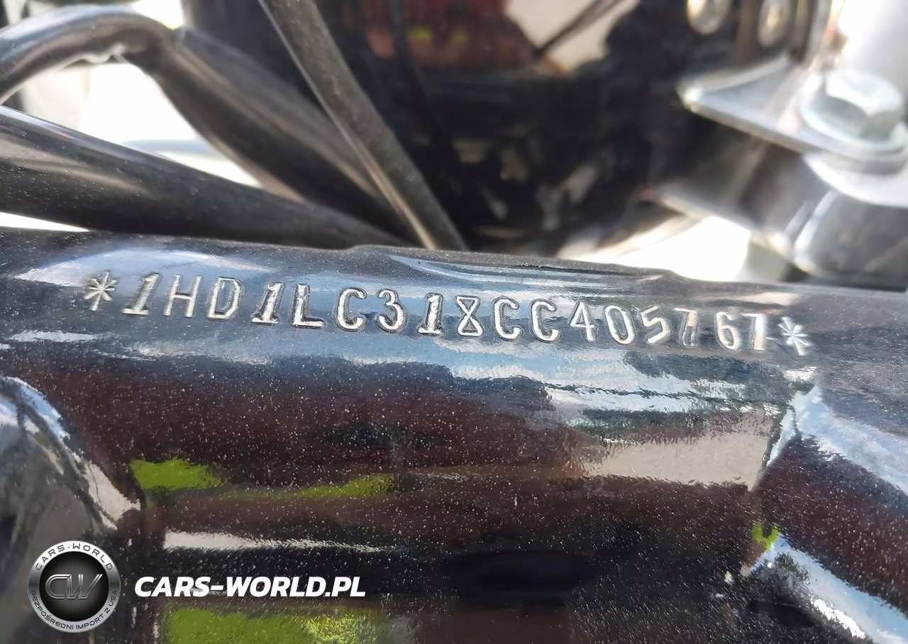 2012 Harley-Davidson Xl1200 Forty-Eight VIN:1HD1LC318CC405767 - 10