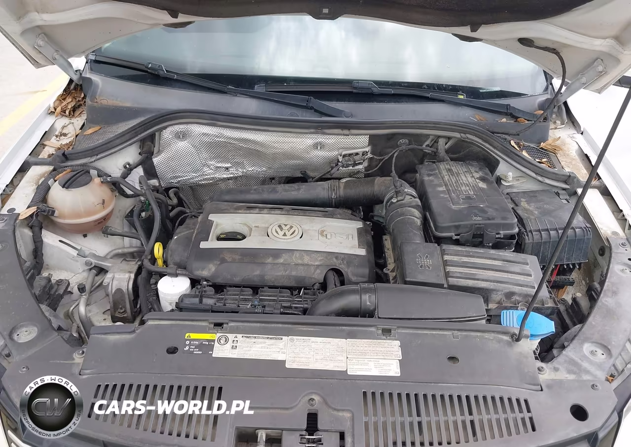 2015 Volkswagen Tiguan S VIN:WVGBV7AX4FW585617 - 10