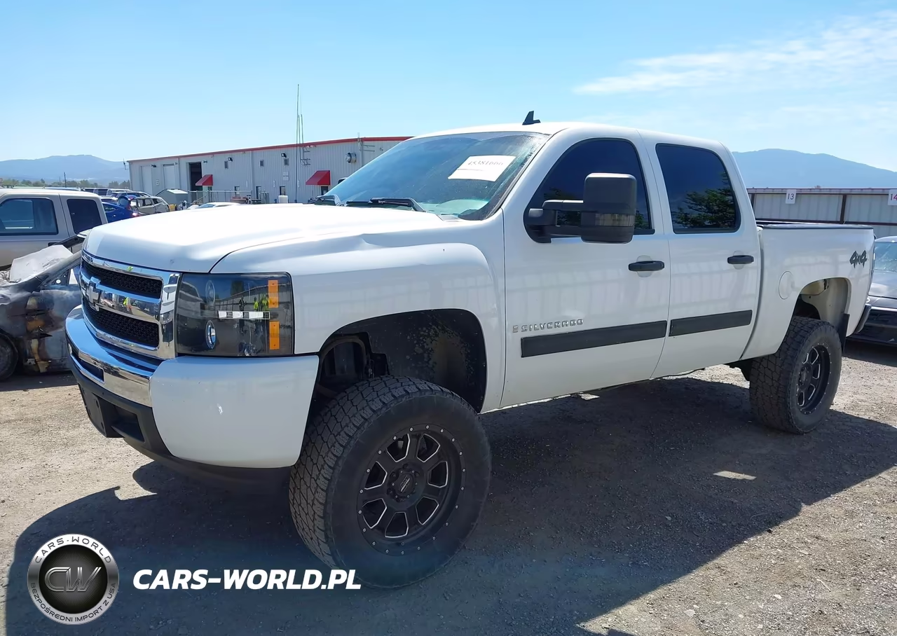 2009 Chevrolet Silverado 1500 Ls VIN:3GCEK13C19G124573 - 2