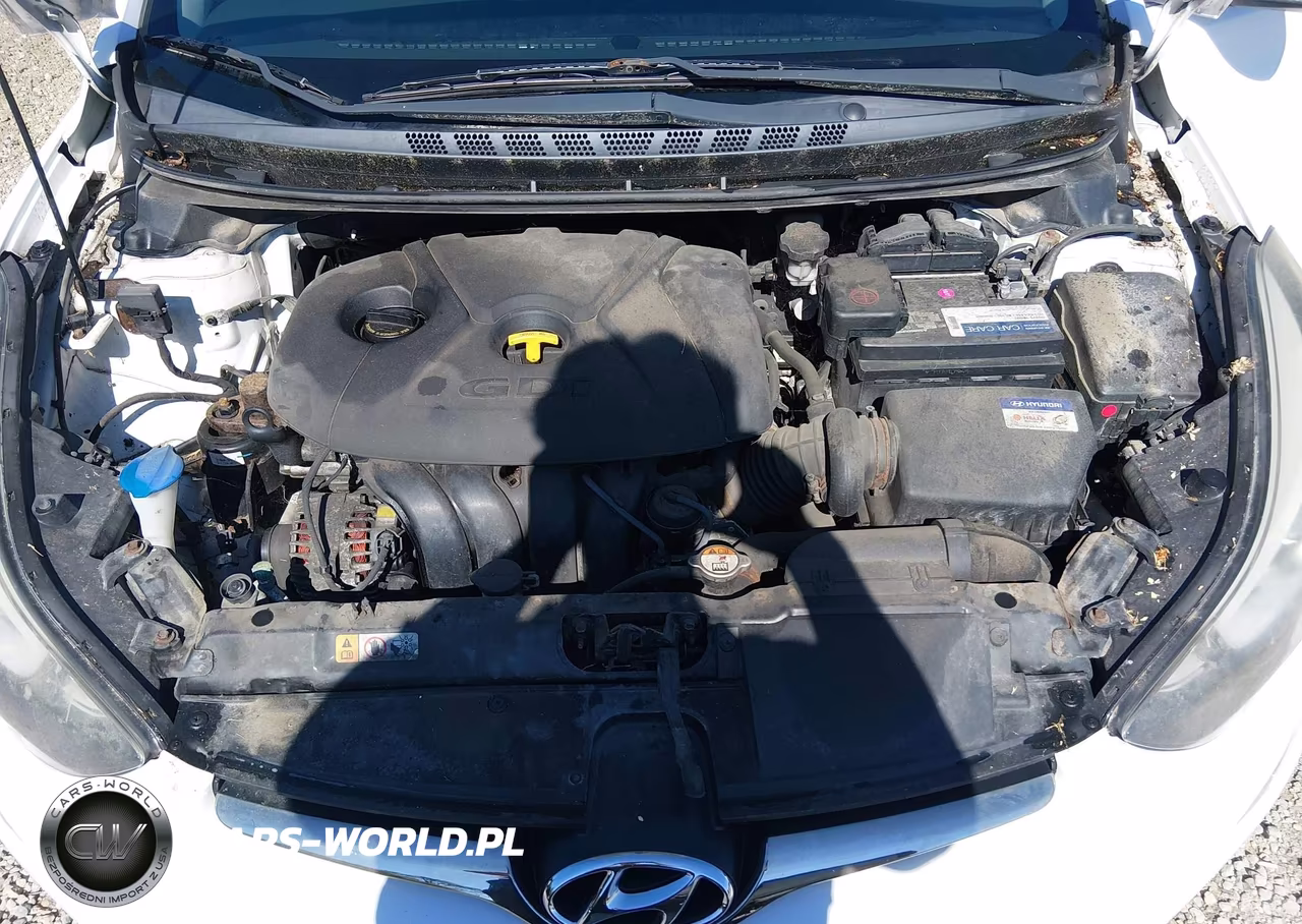 2015 Hyundai Elantra Sport VIN:KMHDH4AH9FU382886 - 10