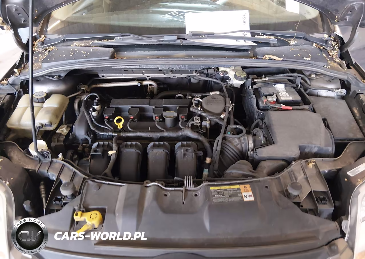 2013 Ford Focus Se VIN:1FADP3F22DL339893 - 10